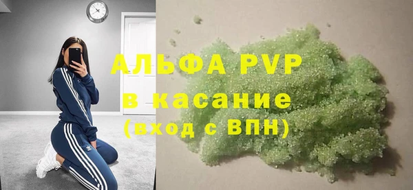 шишки Абаза