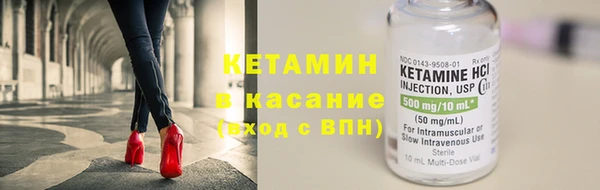 шишки Абаза
