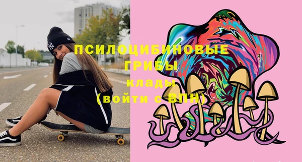 шишки Абаза