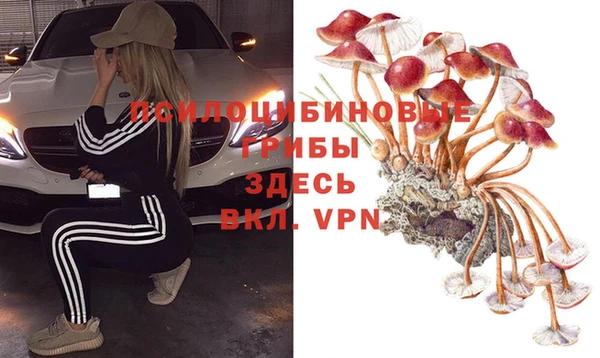 шишки Абаза