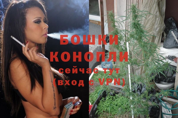 шишки Абаза