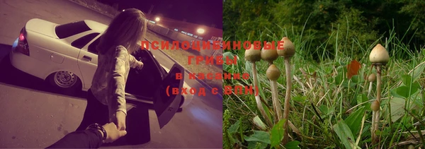 2c-b Абинск